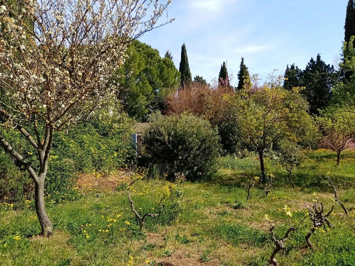 Au Mas Saint Pierre Hotel Pignans